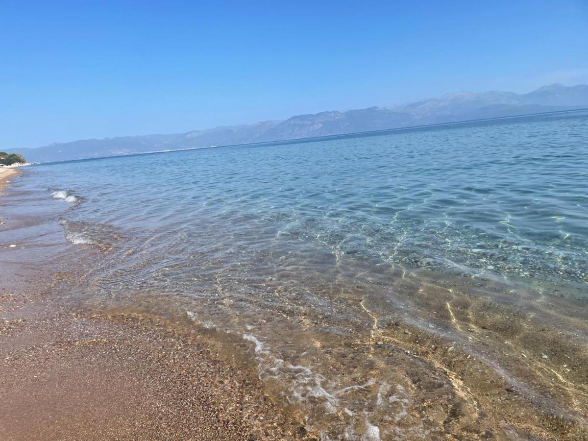 Villa Delfini Chranoi Dış mekan fotoğraf
