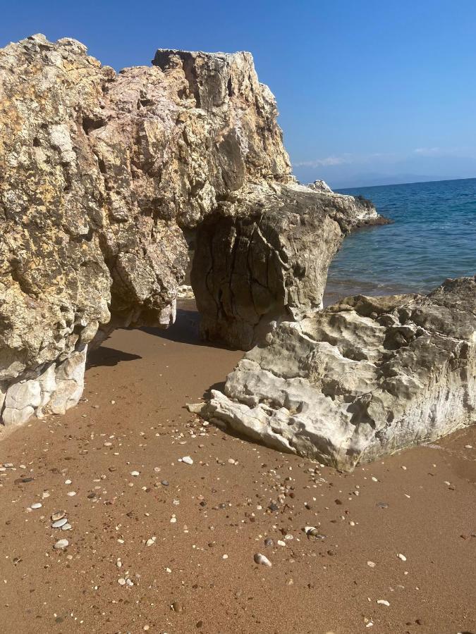 Villa Delfini Chranoi Dış mekan fotoğraf