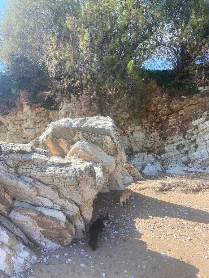 Villa Delfini Chranoi Dış mekan fotoğraf