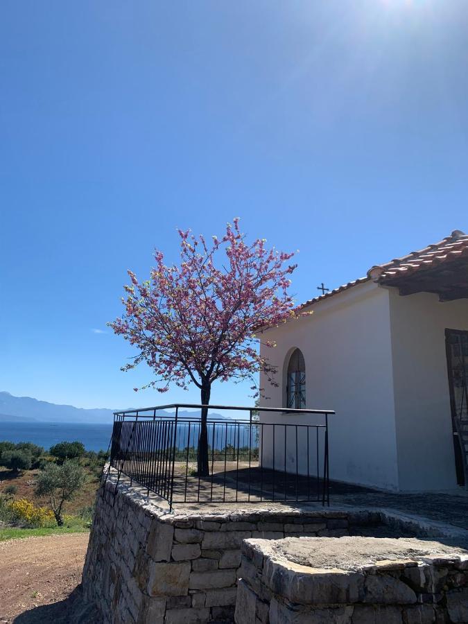 Villa Delfini Chranoi Dış mekan fotoğraf