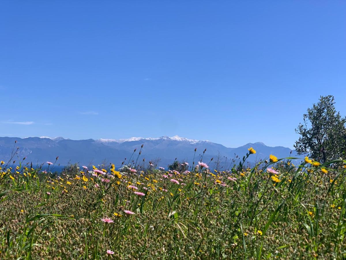 Villa Delfini Chranoi Dış mekan fotoğraf