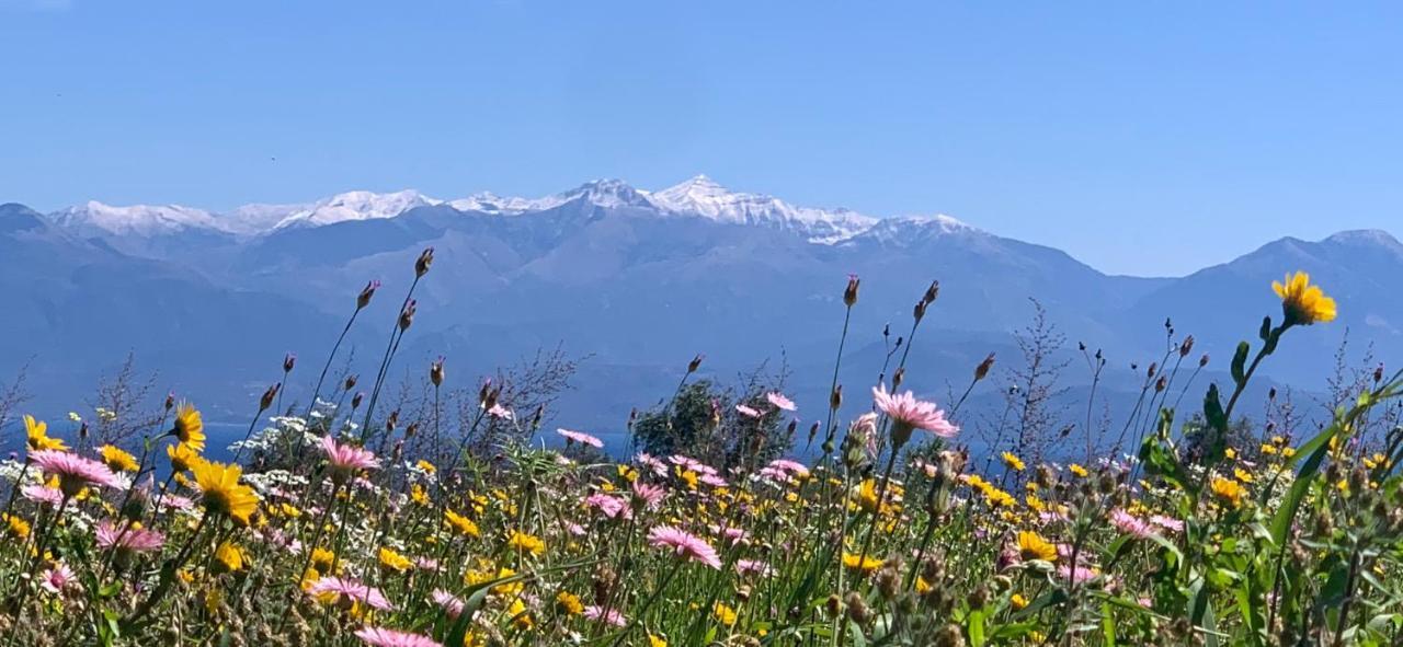 Villa Delfini Chranoi Dış mekan fotoğraf