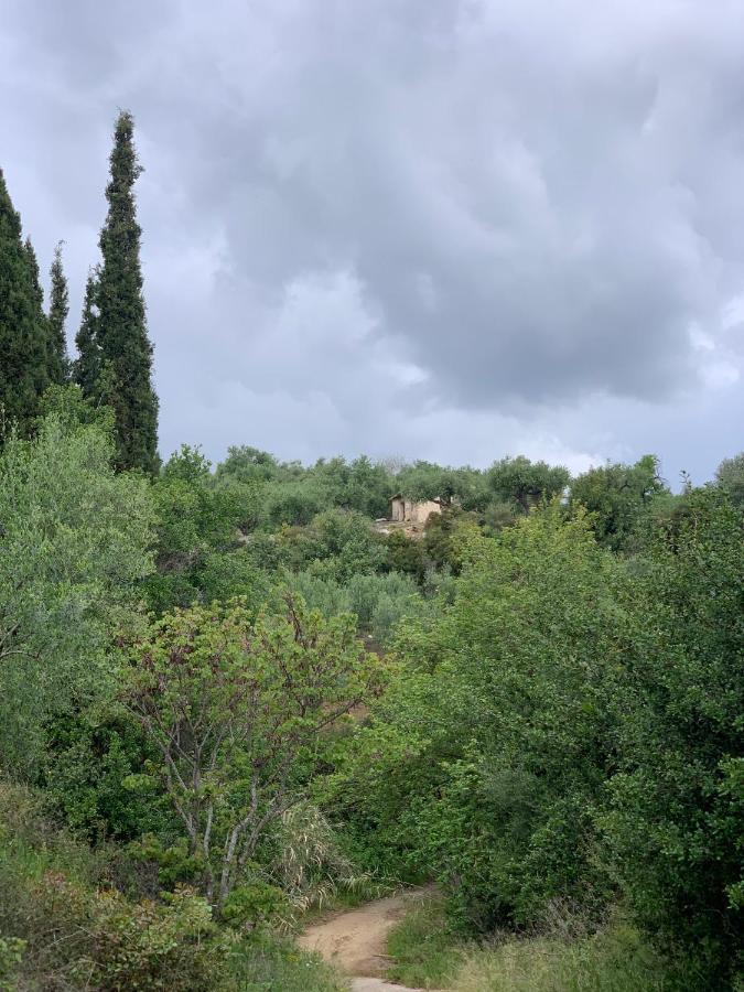 Villa Delfini Chranoi Dış mekan fotoğraf
