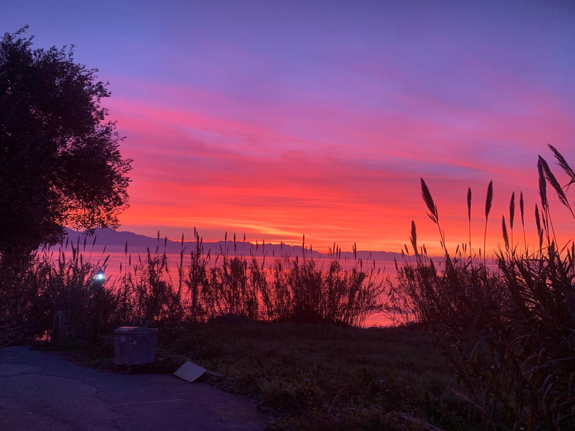 Villa Delfini Chranoi Dış mekan fotoğraf