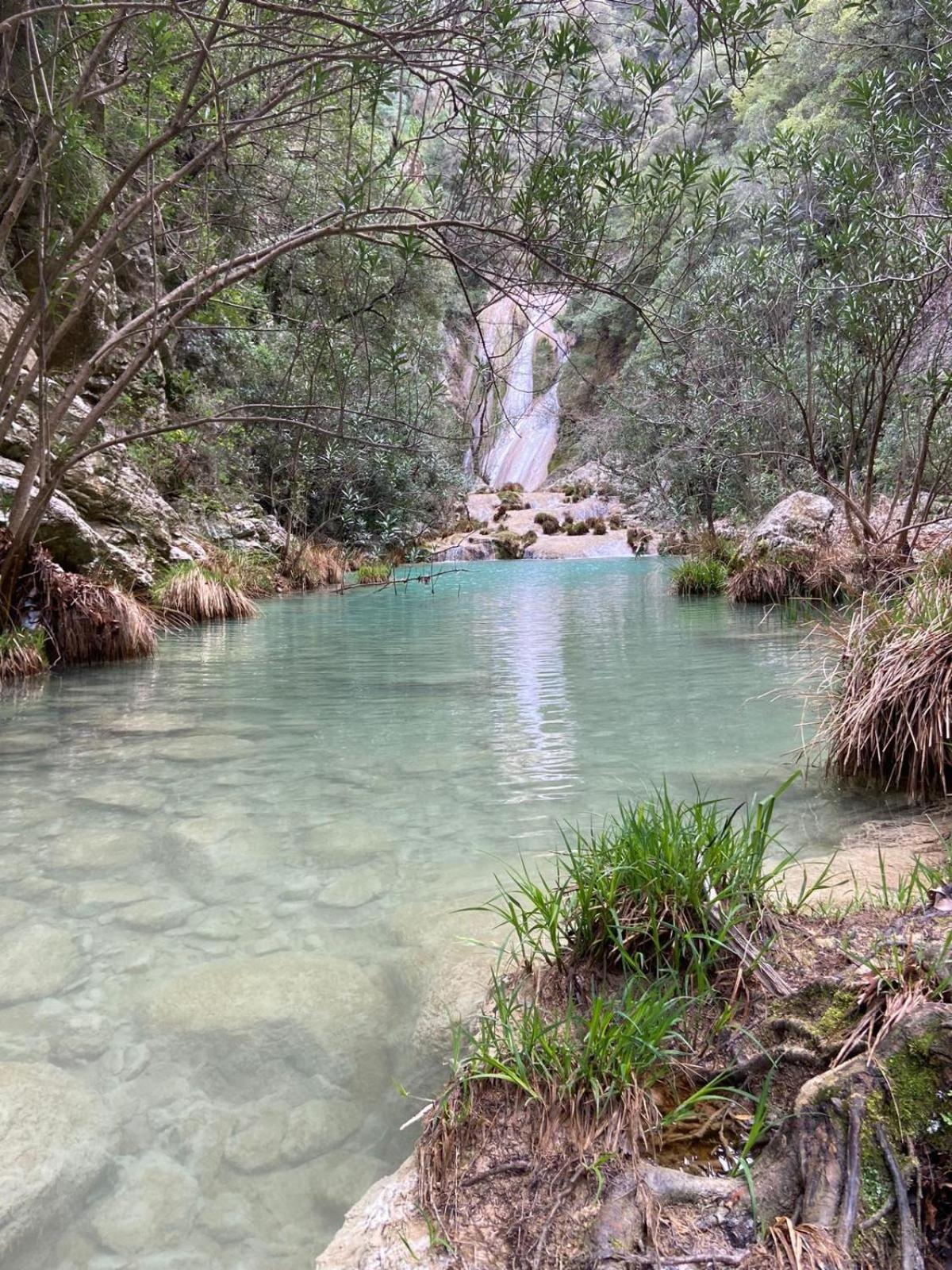 Villa Delfini Chranoi Dış mekan fotoğraf